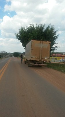 Extrema e São Carlos11